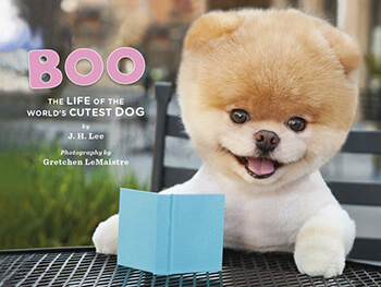 Boo: The dog book cover