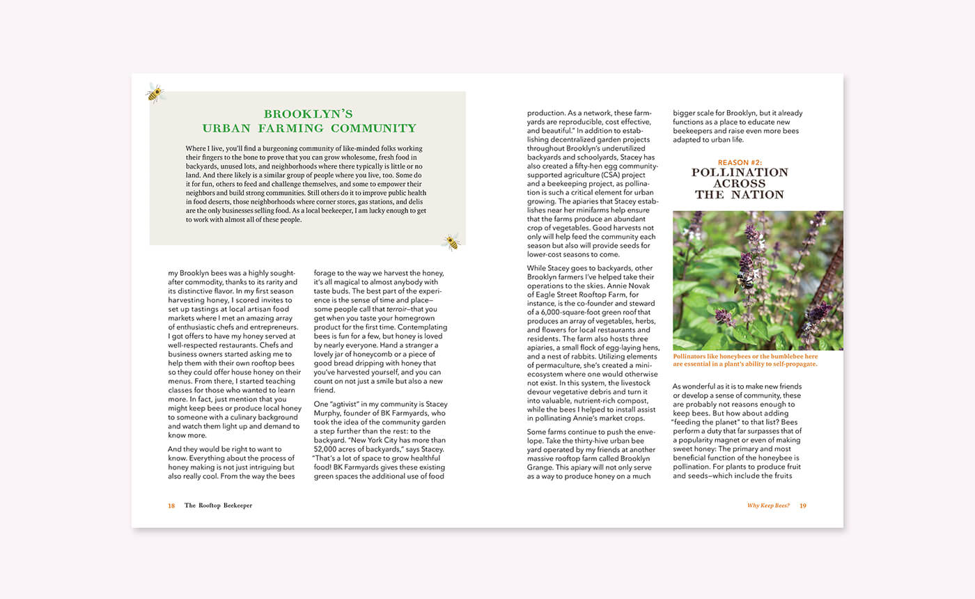 The Rooftop Beekeeper book details