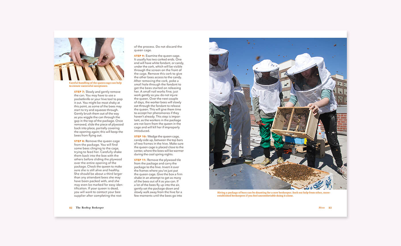 The Rooftop Beekeeper book details